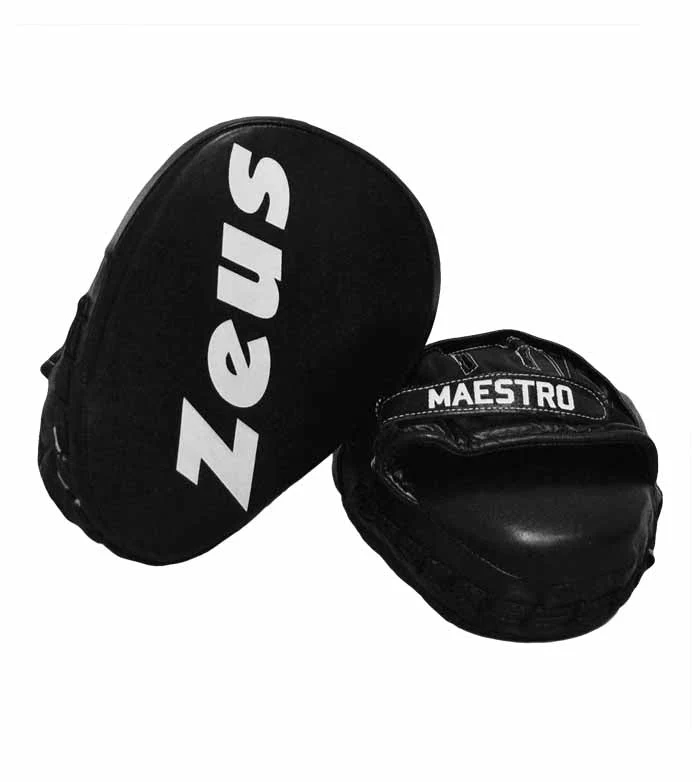 GUANTI BOXE MAESTRO