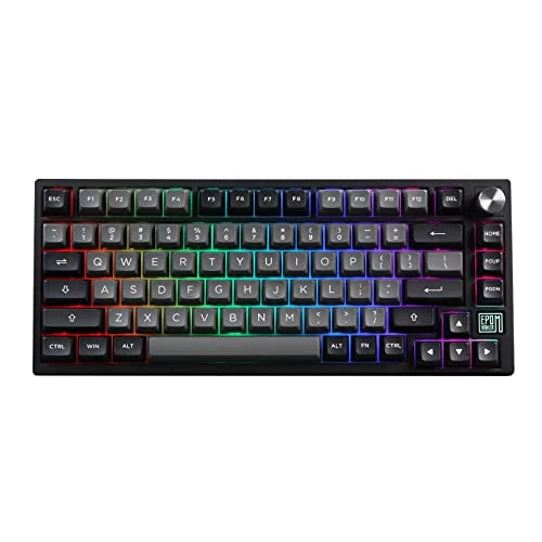 EPOMAKER TH80 SE Gasket 75% Mechanical Keyboard, NKRO Hot Swappable RGB 2.4Ghz/ Bluetooth 5.0/ Wired Gaming Keyboard with Poron/EVA Foam, 4000mah Battery (Black Silver, Flamingo Switch)