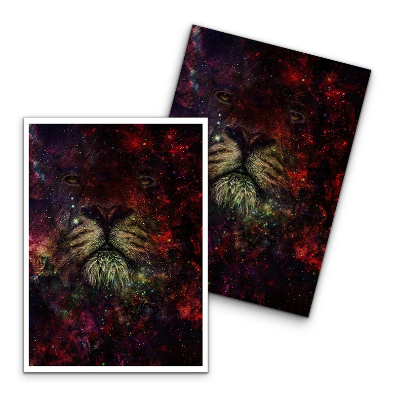 The Lion Nebula Card Sleeves