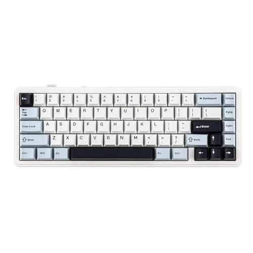 EPOMAKER x Aula F65 65% Wireless Mechanical Keyboard, Hot Swappable Gasket Custom Gaming Keyboard with Five-Layer Padding, RGB Backlit, Bluetooth/2.4GHz/USB-C (Light Blue, Reaper Switch)