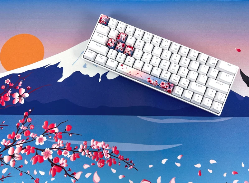Sakura (Dawn)-pakke